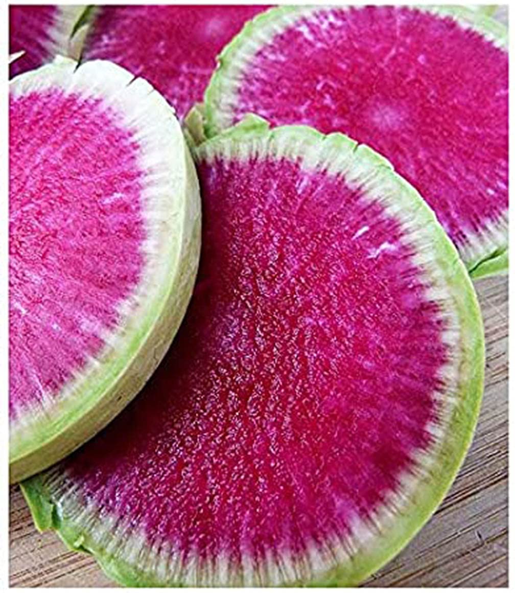Marde Ross Watermelon Radish Heirloom Seeds