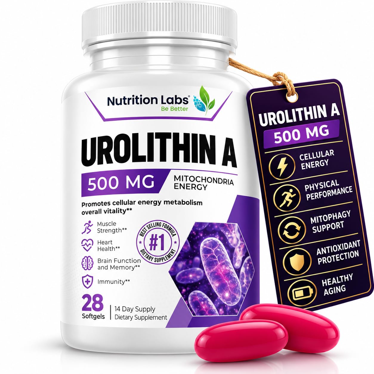 Urolithin A Supplement for Women & Men in Liposomal Form – Mitochondrial Health, Cellular Energy, Healthy Aging, Muscle Strength & Endurance Support – High Bioavailability – Nutrition Labs