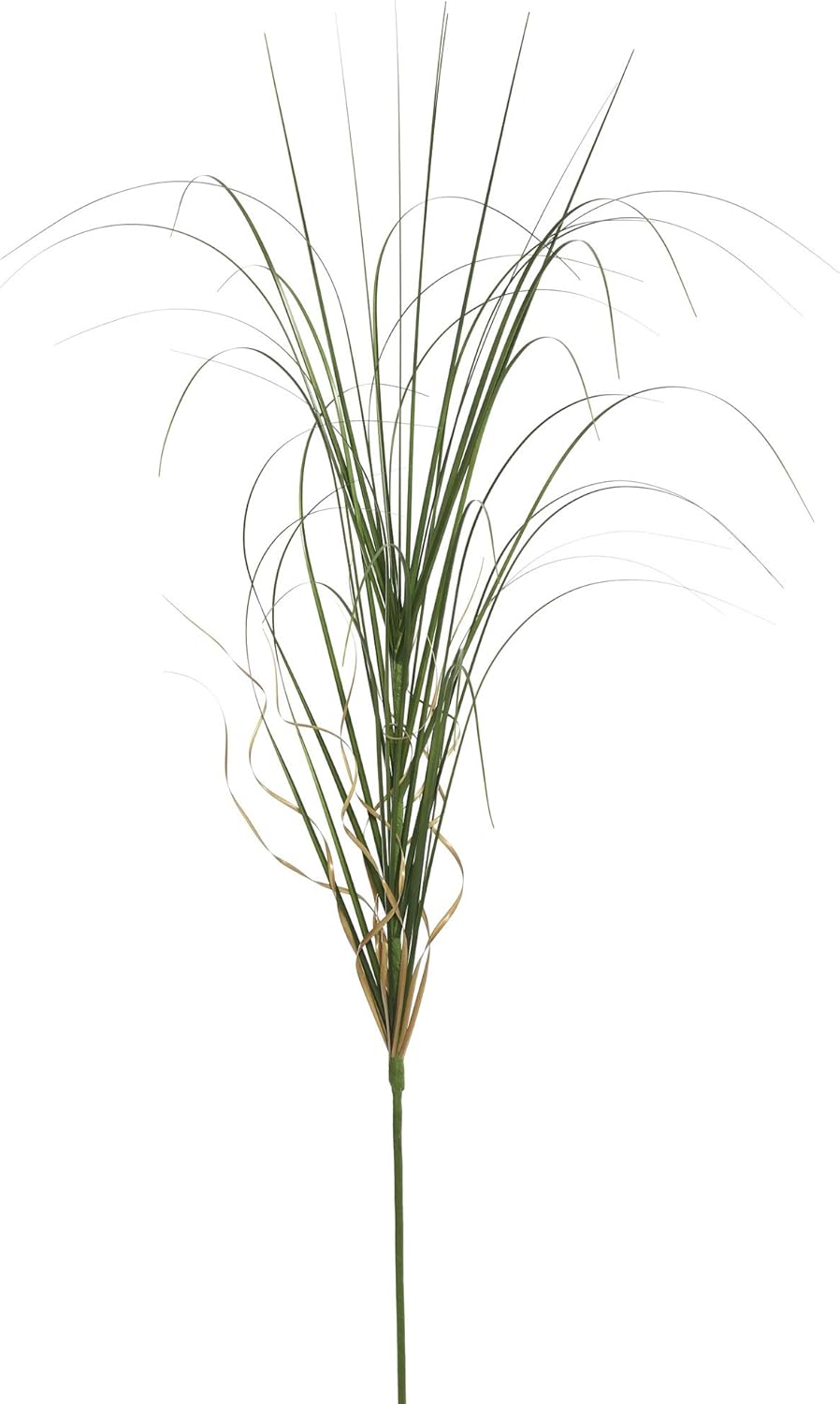 Vickerman 48" Tall PVC Artificial Potted Green Curled Grass Decor - Realistic Looking Greenery Decoration for Home Kitchen Business Office Arrangements