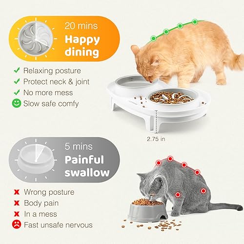 Miniatura 4 de Cuenco elevado para gatos de alimentación lenta: cuenco de comida y agua elevado antivómitos para detener la hinchazón para gatitos una alimentación