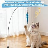 Ver la foto 5