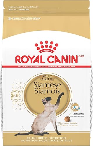 Royal Canin Siamese raza adulto seco alimento para gatos, 6 lb.