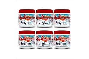 Febreze Solid Air Freshener and Odor Eliminator in Inviting Winter Apple and Spice Scent