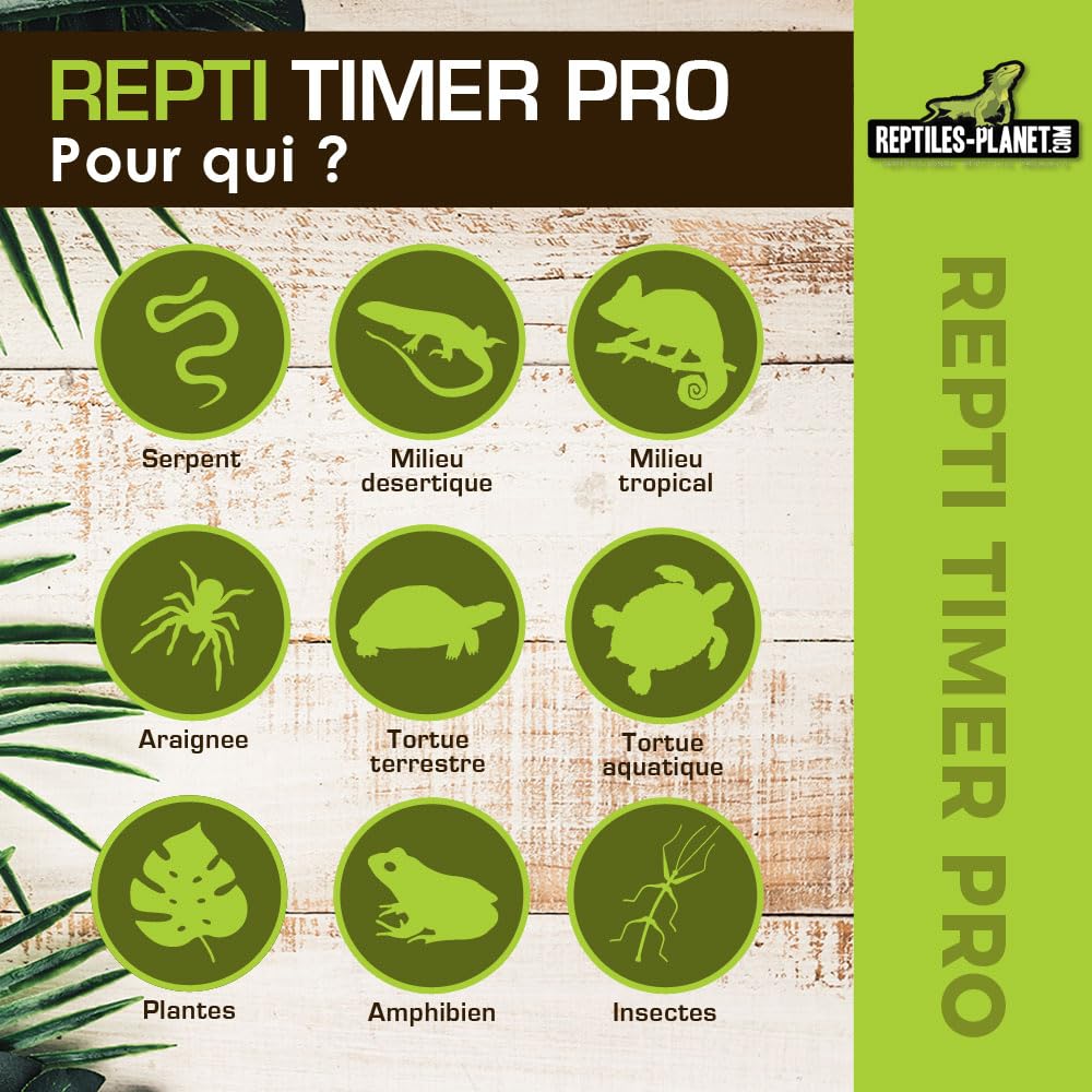 Reptiles-Planet Elektronischer Timer für Repti Timer Pro Terrariennebler, Schwarz, 875862