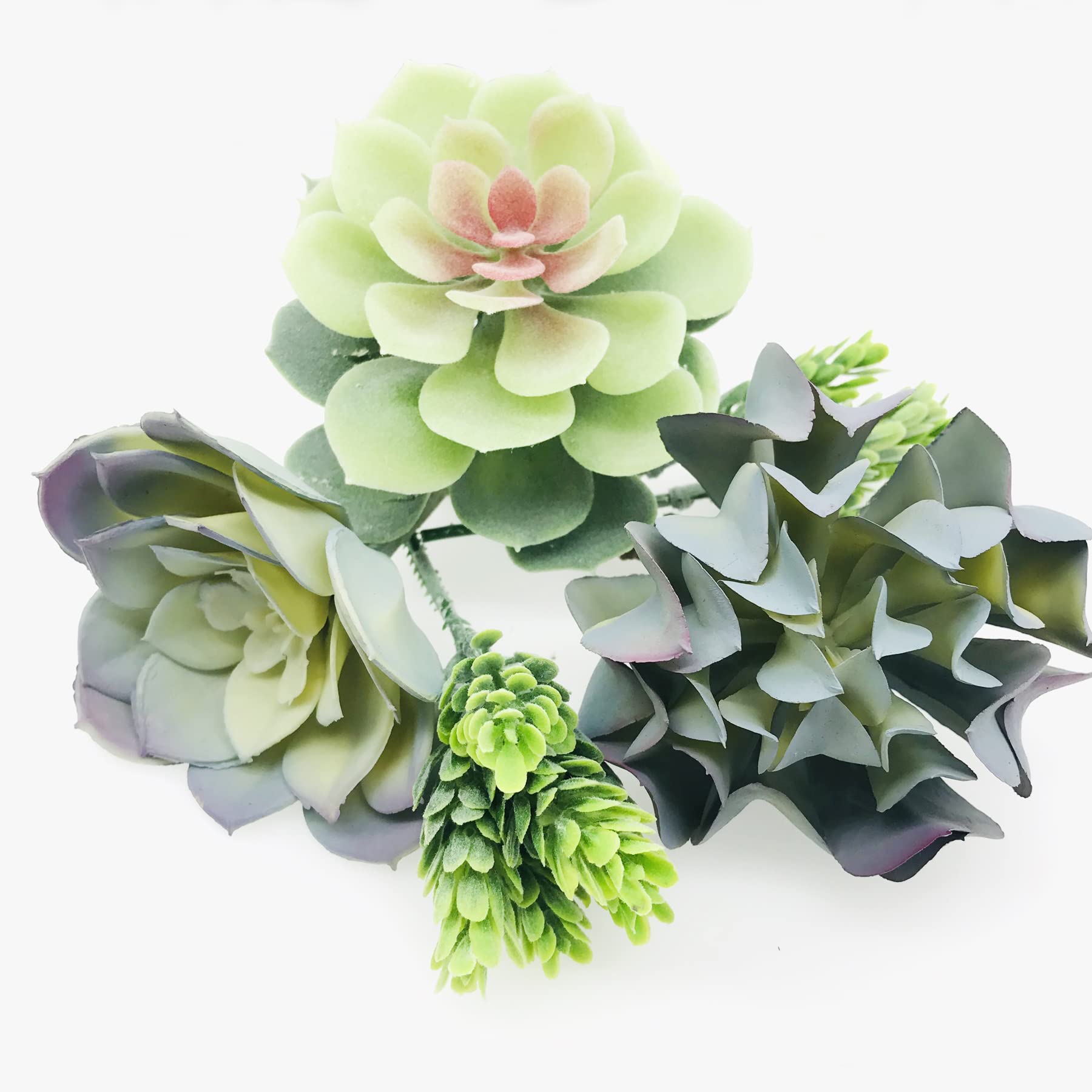 Woohome Piante Succulente Artificiali 20 Pz Succulente Artificiali Misti Piante Grasse Finte Decorative per La Decorazione del Paesaggio Decorazioni,Casa Giardino Decorazioni