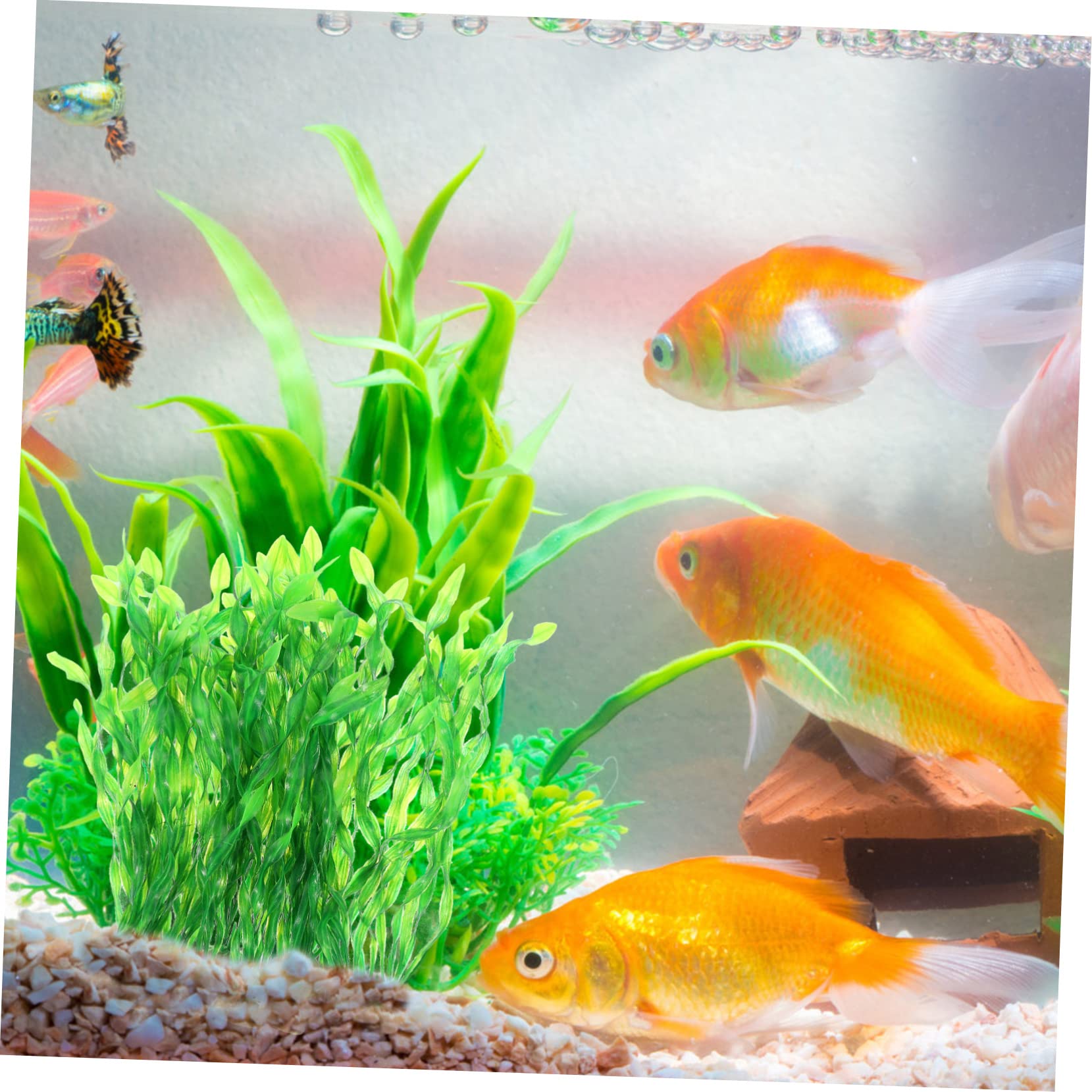 20stücke Künstliche Wasserpflanzen Für Aquarium Dekoration Simulation Von Kelpgras Und Aquarienpflanzen Für Fischbehälter Und Teiche Hochwertige Dekoration