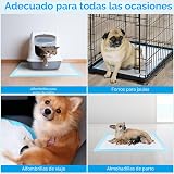 Ver la foto 7