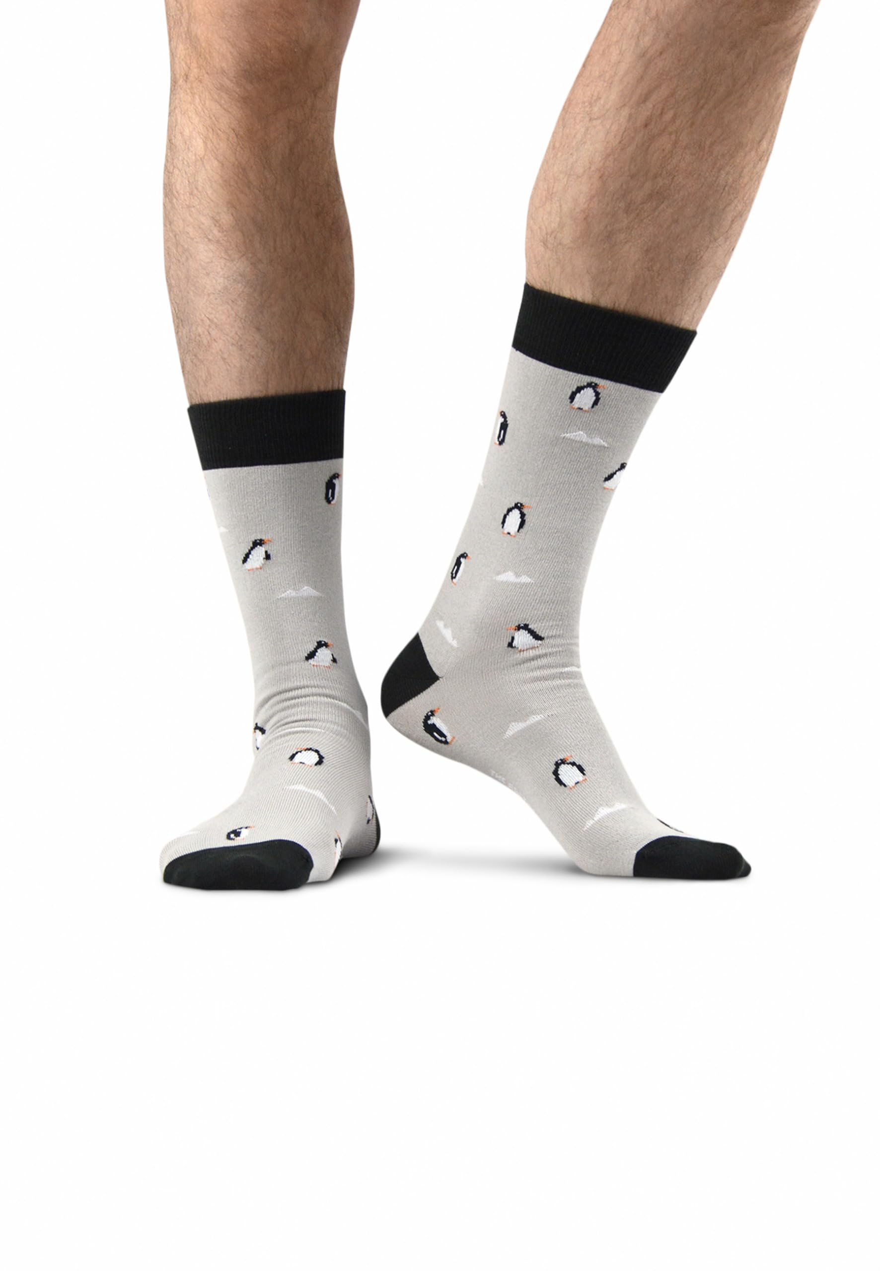 Confezione da 4 calzini - Austral Edition - Cotone Biologico - Doppio filo - Morbido, confortevole e resistente - Made in Italy