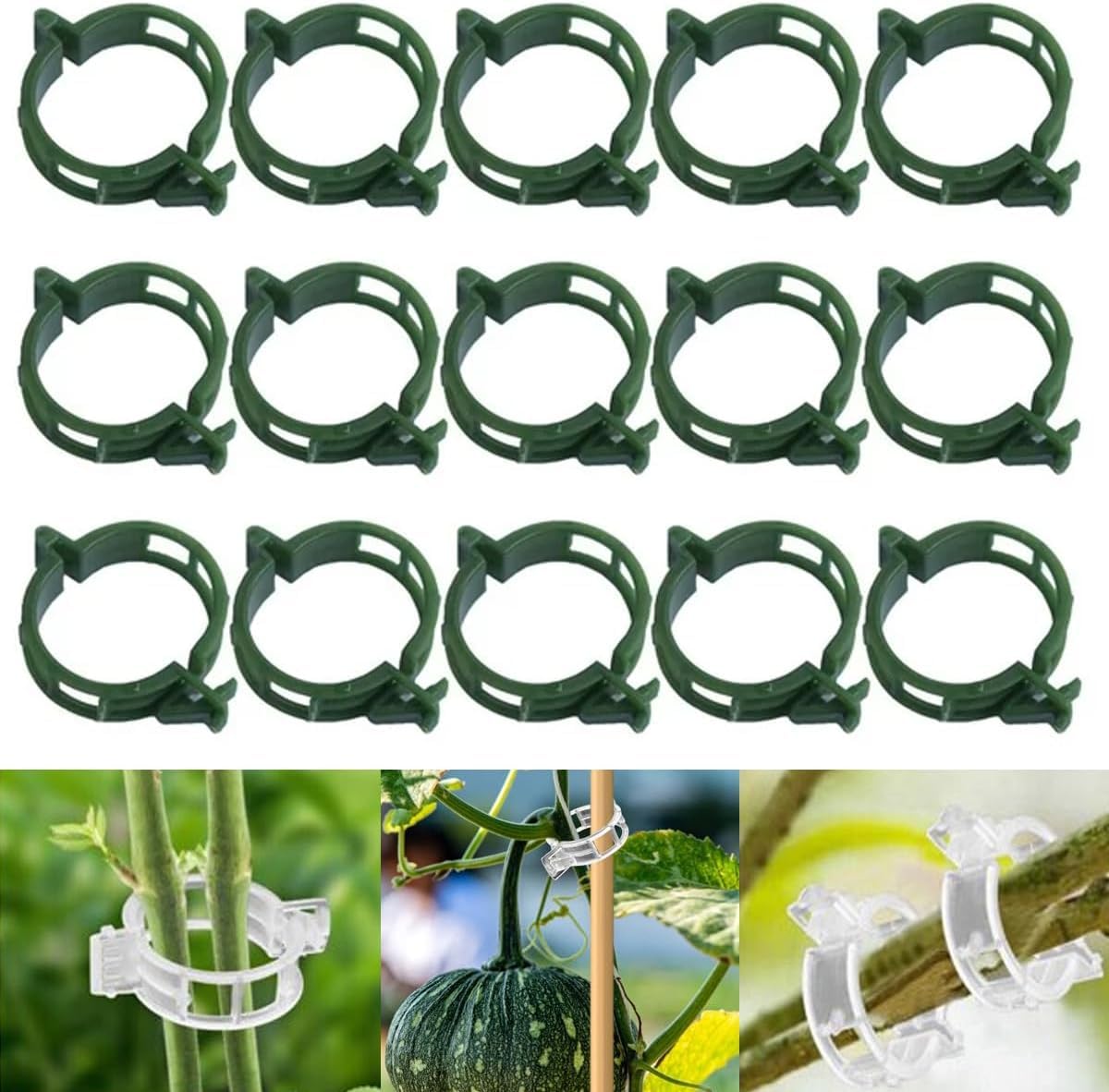 100 PCS Secured Plastic Plant Clip, Plant Support Clips, Garden Clips for Climbing Plants, Plastic Trellis Clips Plant Support Clips Tomato Grape Vine Vegetables Plant Fixing Clips (100, Green)