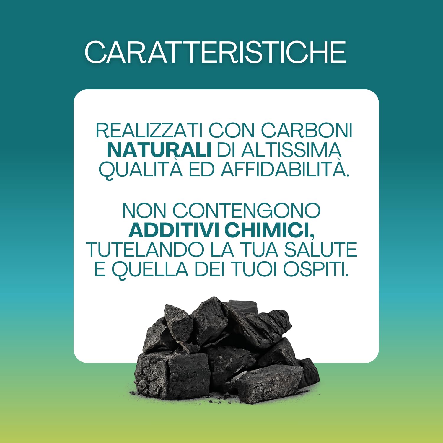 Virsus Carbone di Legna 1 Sacco da 9 kg Netti di Puro Carbone Vegetale per Barbecue, 100%, Combustibile Ecologico, Naturale, Grill, Grigliata o Barbecue da Tavolo (9Kg)