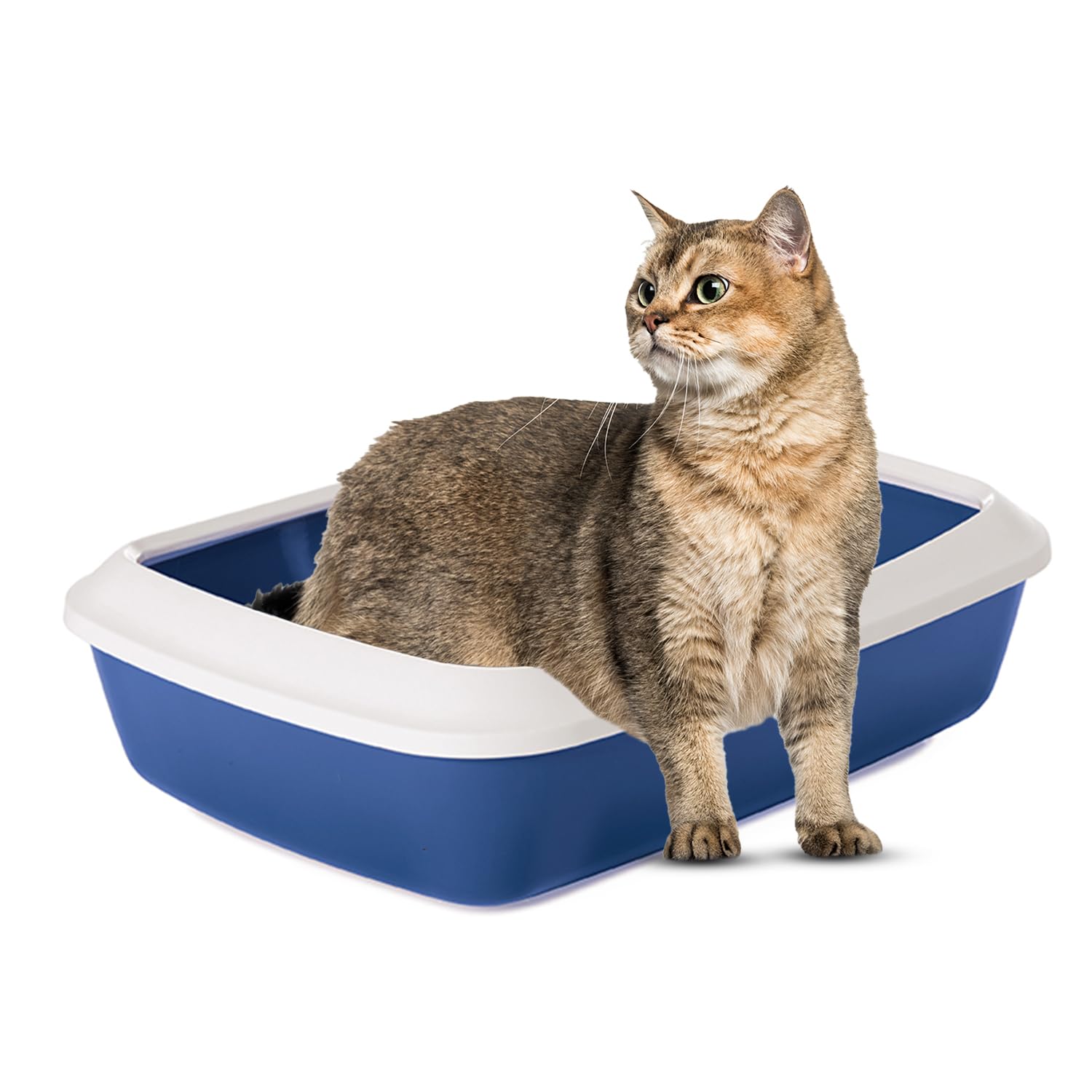 Cassetta Per Lettiera Per Gatti Completamente Chiusa, Pieghevole A Cassetti Con Una Paletta Per