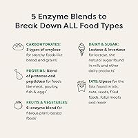 Vista 5 de Renew Life Digestive Duo Probiotic and Enzymes Vegetarian Capsules, Probiotic Promotes Digestive Health, Fast-Acting Enzymes Aid Digestion, With
