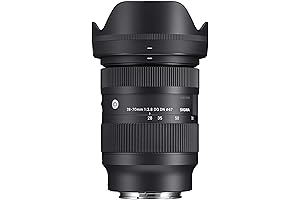 Renewed Sigma 28-70mm f/2.8 DG DN Lens for Sony E