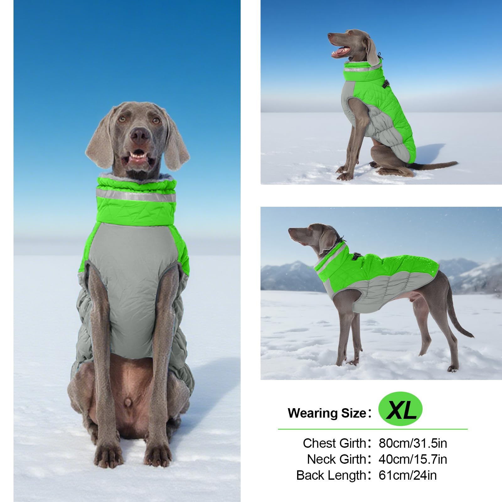 Manteau Chaud pour Chiens de Taille Moyenne, Veste imperméable avec Harnais intégré, Fermeture éclair, Doublure en Polaire pour promenades en Plein air par Temps Froid, Combinaison de Neige