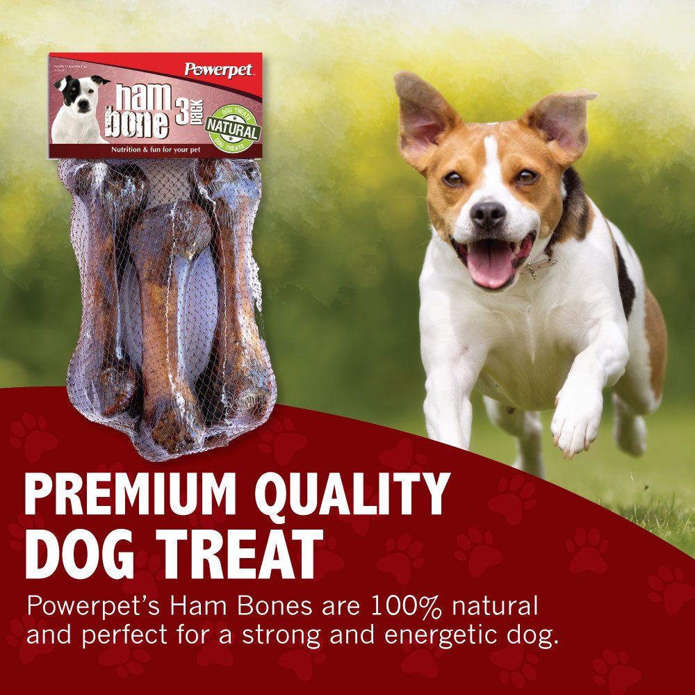 Does Rawhide Dissolve In A Tenterfield Terriers Stomach