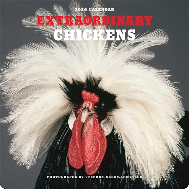 Portada de Extraordinary Chickens 2026 Wall Calendar