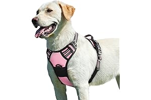 BeautyZoo Urban Step-in Dog Harness for Large Dogs, No Pull