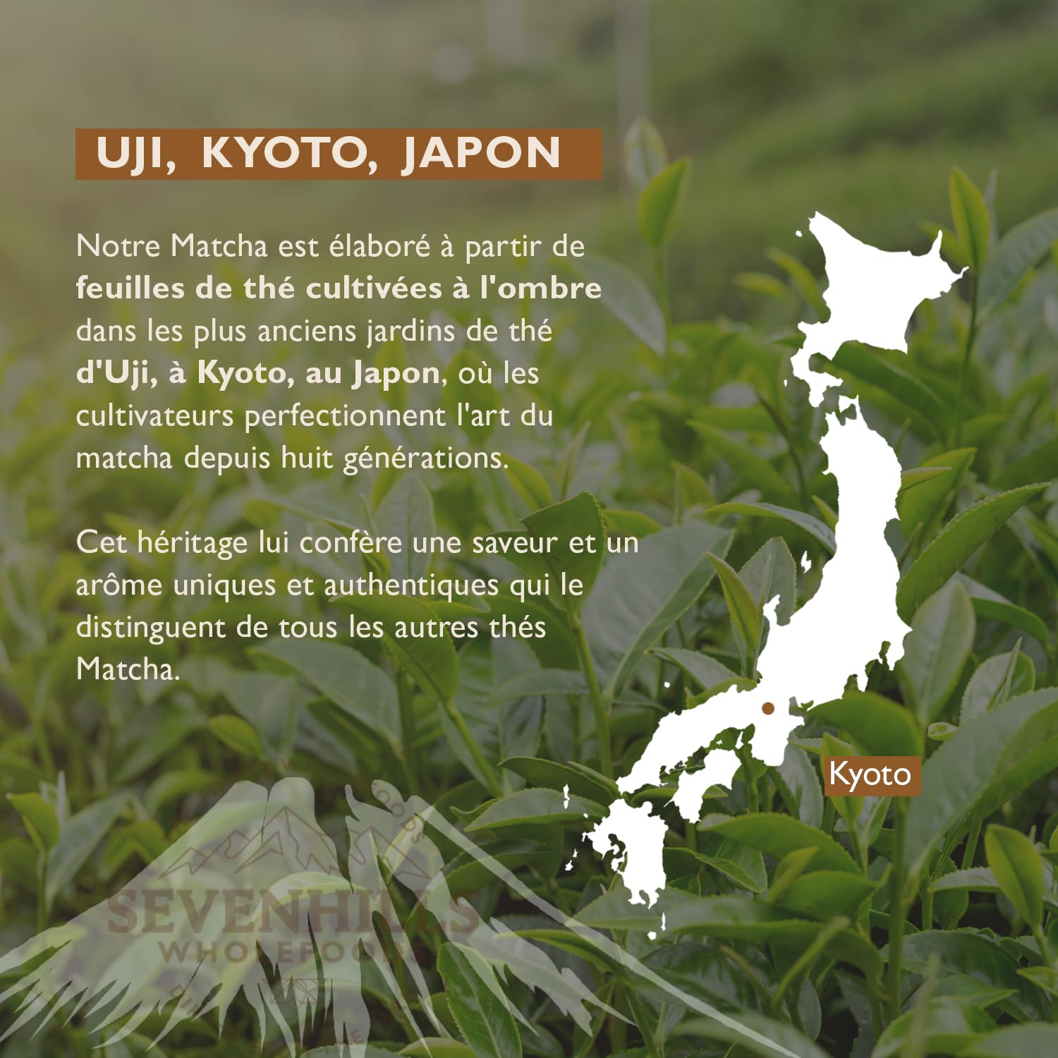 Sevenhills Wholefoods Poudre De Thé Vert Matcha De Ceremonie Japonais En Poudre Bio 200g | de Uji, Kyoto, Japon | pour boissons chaudes et froides, lattes, smoothies