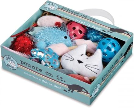 12-Piece Pounce Toy Gift Box Pounce on It Assorted Toys Keep Cats and Kittens Entertained Safely