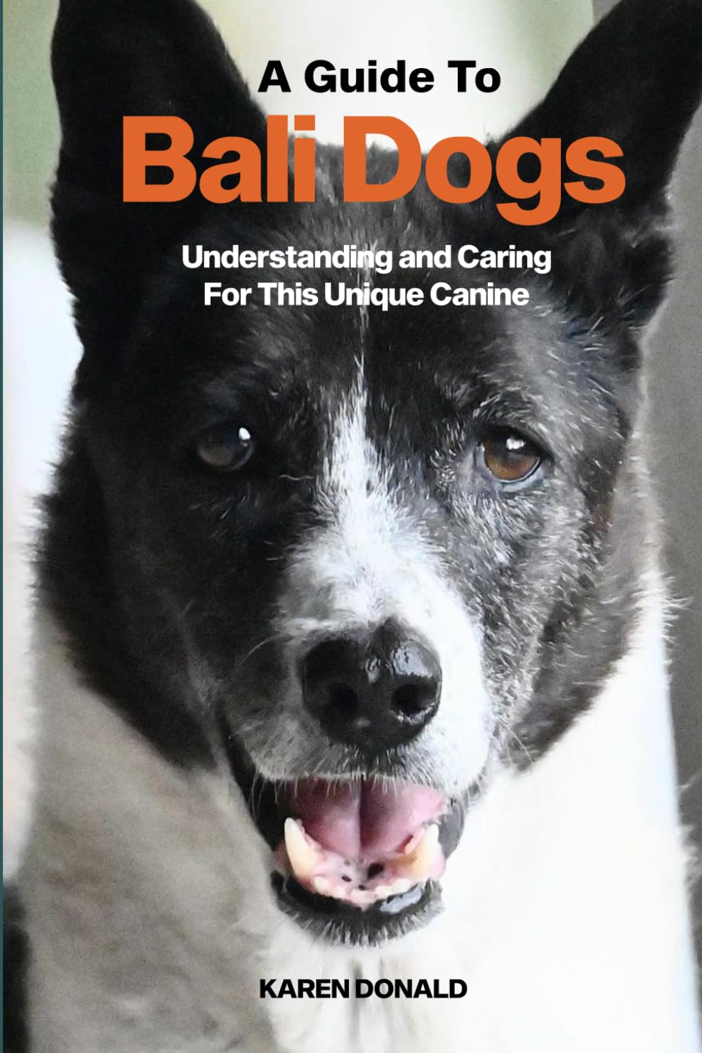 A Guide to Bali Dogs: Understanding and Caring For This Unique Canine