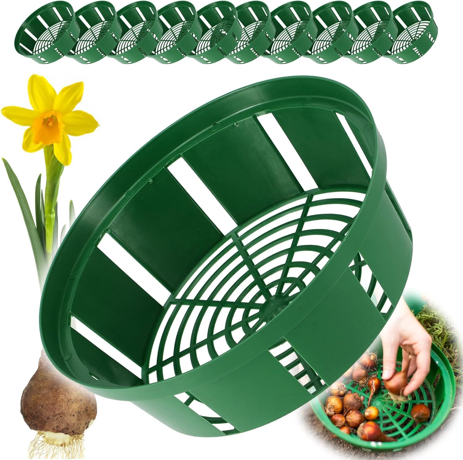 Bulb Baskets Daffodil Tulip Crocus Snowdrop Allium Easy Planter 20cm/23cm/26cm (26cm, 10)