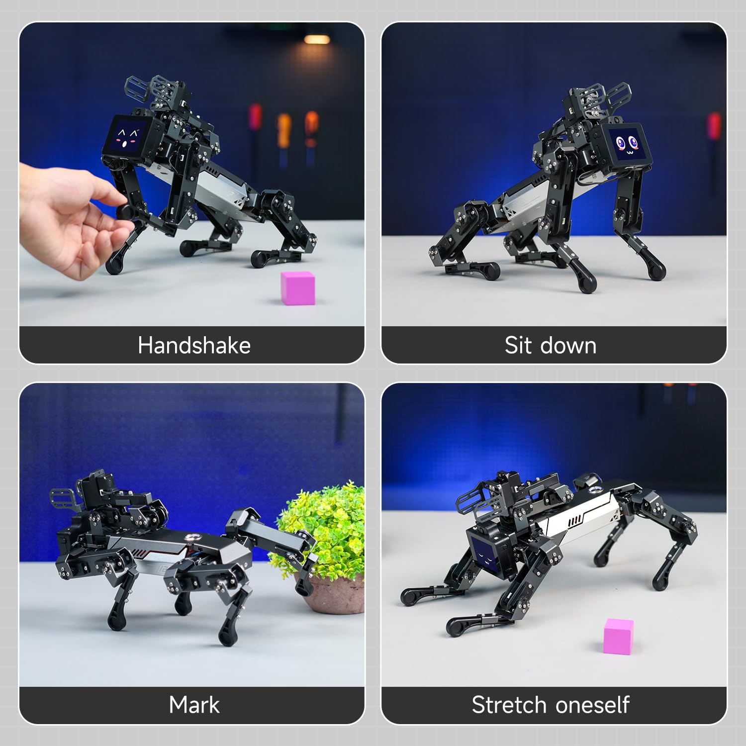 Yahboom AI Embodied Intelligent Robot Dog, 15DOF, Programming Education AI Roboterhund with Robotic Arms, Thinking Roboter Hund, APP Controlled Visual Recognition Robot Pet (DOGZILLA-LITE with Pi CM4)