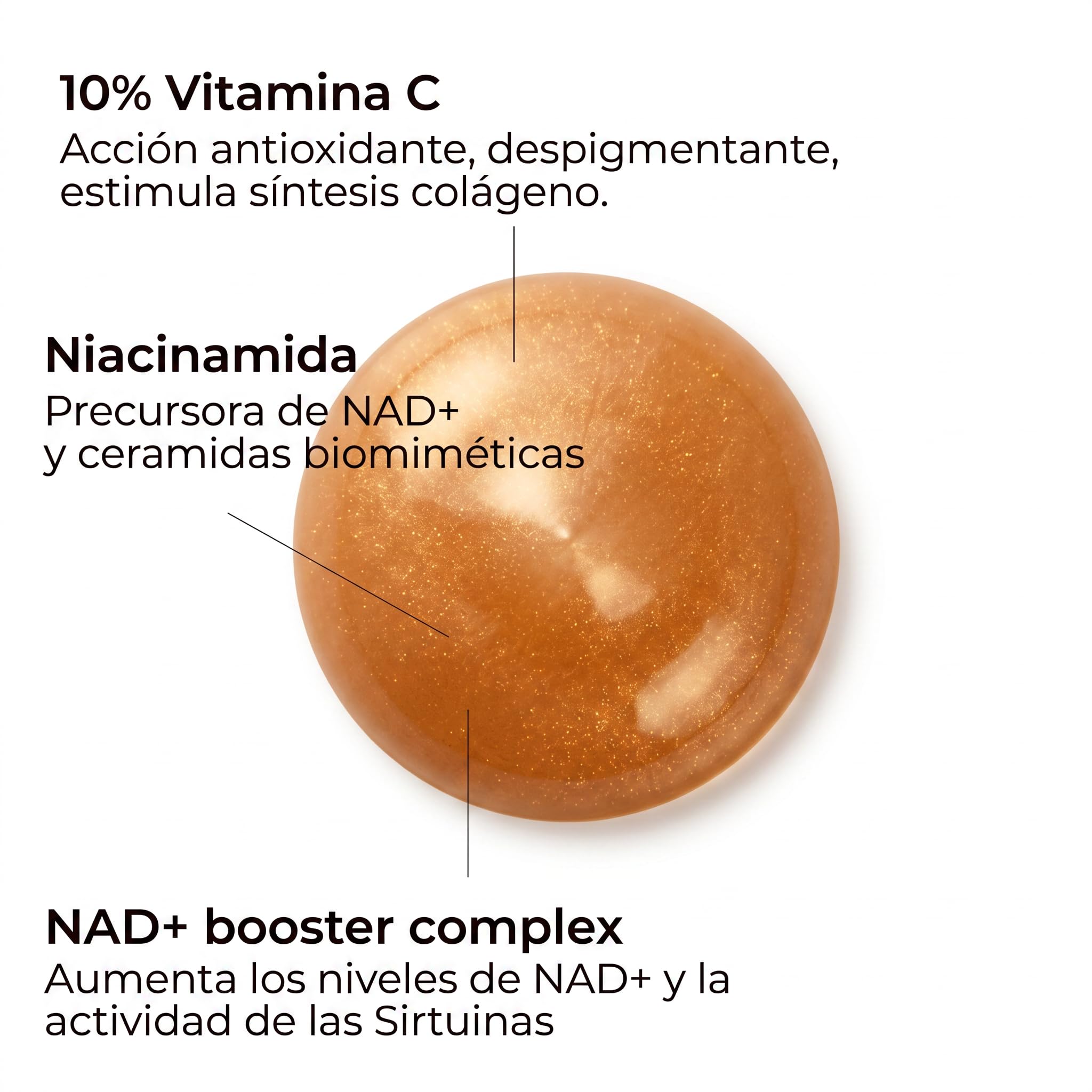 Segle | Sérum Antioxidante NAD + | Vitamina C y NAD + | 9 antioxidantes | Refuerza barrera cutánea con ceramidas | Aclara manchas, mejora luminosidad | Todo tipo de pieles