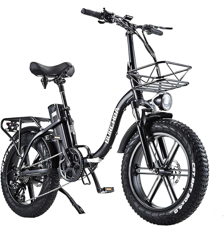 Burchda bicicletta e-bike elettrica BUR-R8S
