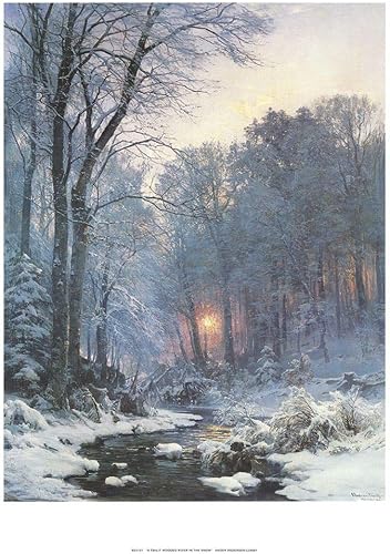 Posterazzi PDXS24121Large A Twilit Wooded River - Impresión fotográfica (9.4 x 36.0 in), multicolor