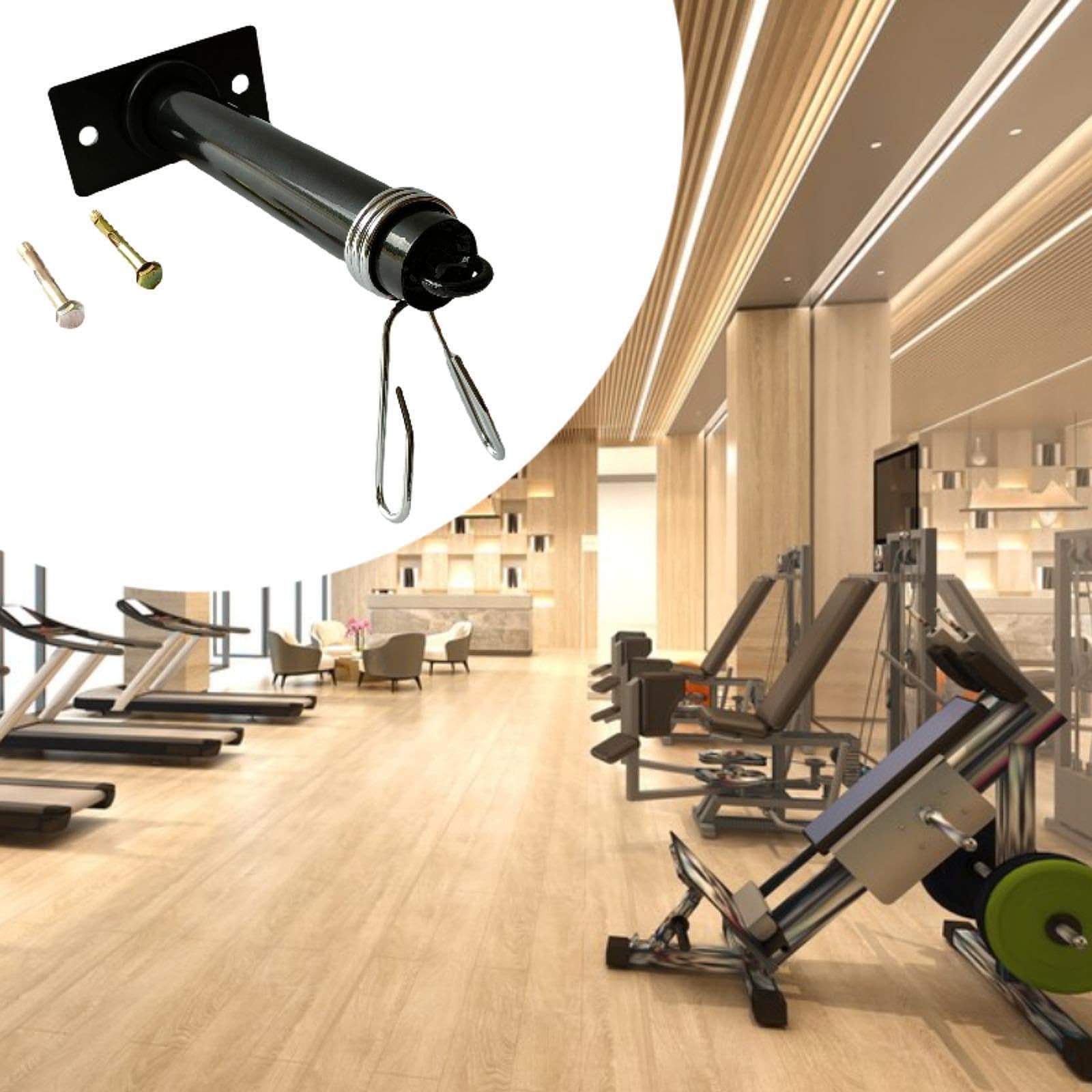 SAZ DEKOR Wall Mount Weight Plate Holder Space Saving Equipment Iron Weight Plate Rack-image-34