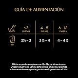 Ver la foto 3