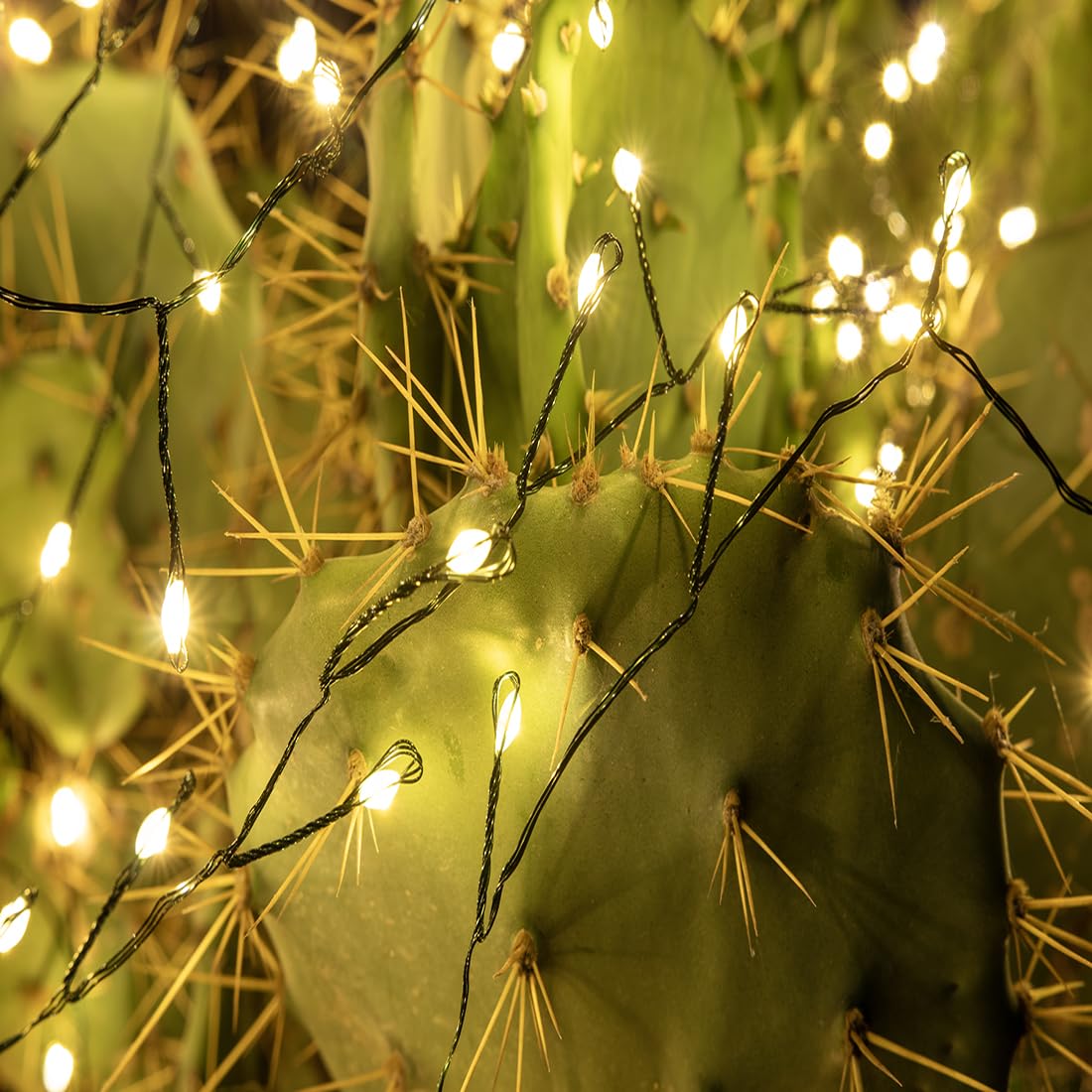 Accendi Petardo Luci 30m 1000 LED Bianco Caldo Verde Filo Cluster Lucine con Telecomando per Camera da Letto,Matrimonio,Compleanno,Festa,Albero di Natale,Giardino,Patio