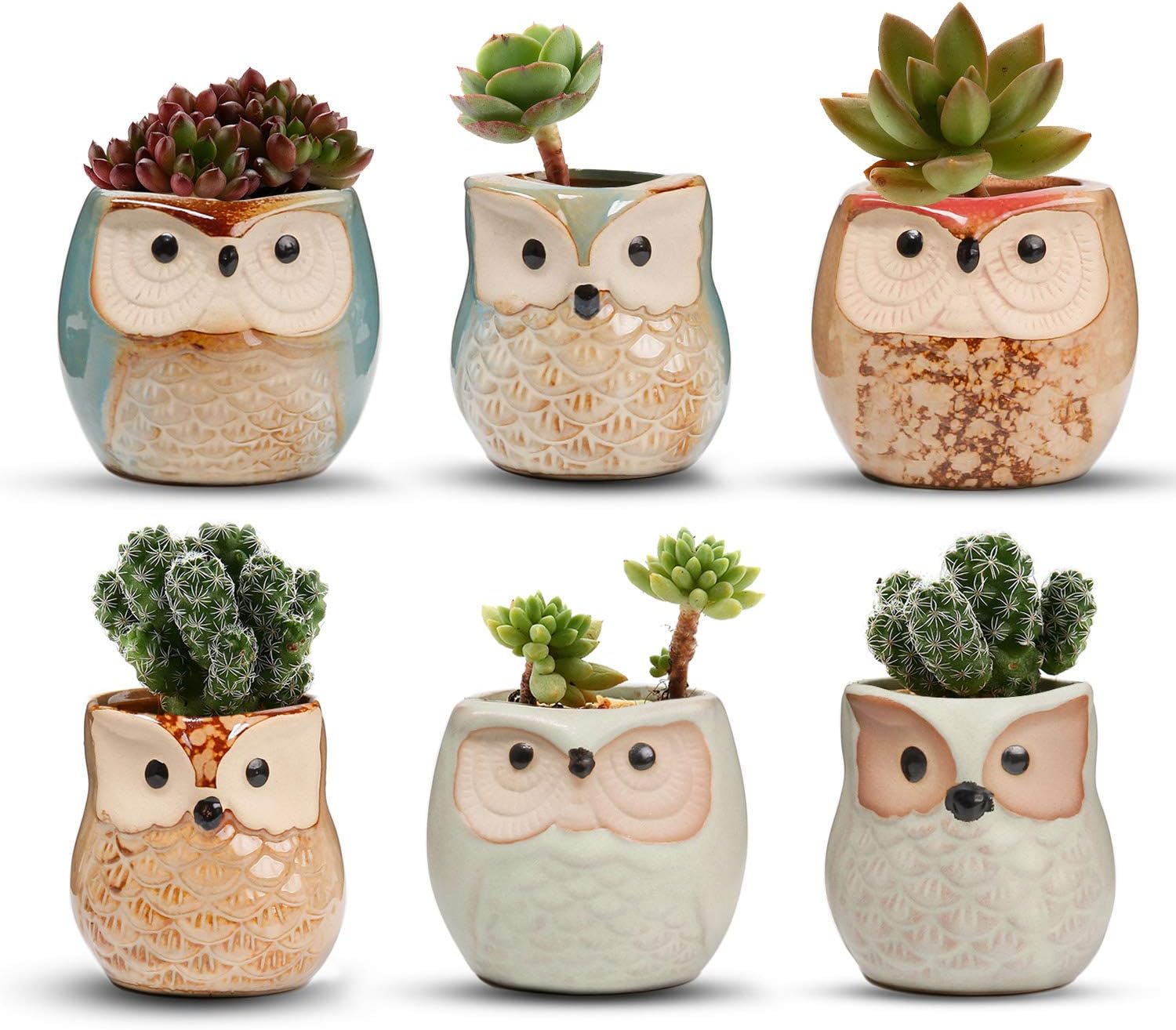 T4U 6CM Ceramic Succulent Planter Pots Mini Size Set of 6, Small Flower Plant Pots with Drainage Hole, Cute Owl Pots for Home Office Decoration, Desktop Windowsill Owl Gift for Gardener for Birthday