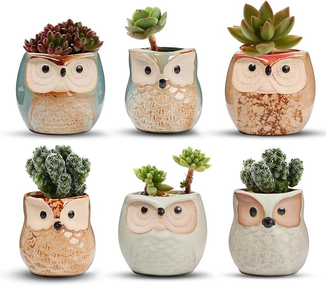 T4U 6CM Ceramic Succulent Planter Pots Mini Size Set of 6, Cute Owl Bonsai Pots Home and Office Decoration Desktop Windowsill Gift for Gardener for Birthday