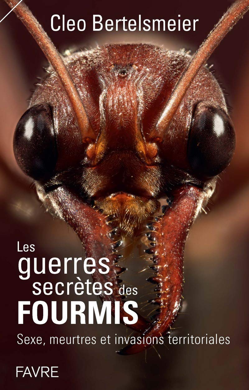 Les guerres secrètes des fourmis