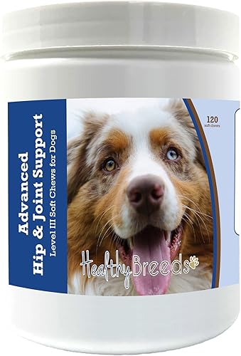 Healthy Breeds Australian Shepherd Advanced Hip & Joint Support Level III - Masticables suaves para perros, promueve una vida activa y cómoda con