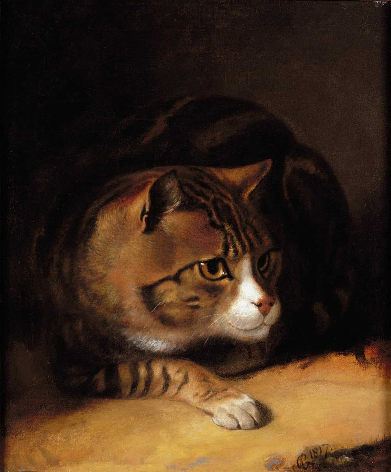 ARTXLXXBN Famous Prints Artwork Pictures Poster Painting Art a Tabby Cat by Abraham Artwork Landscape Pictures for Home Decor 60x90cm