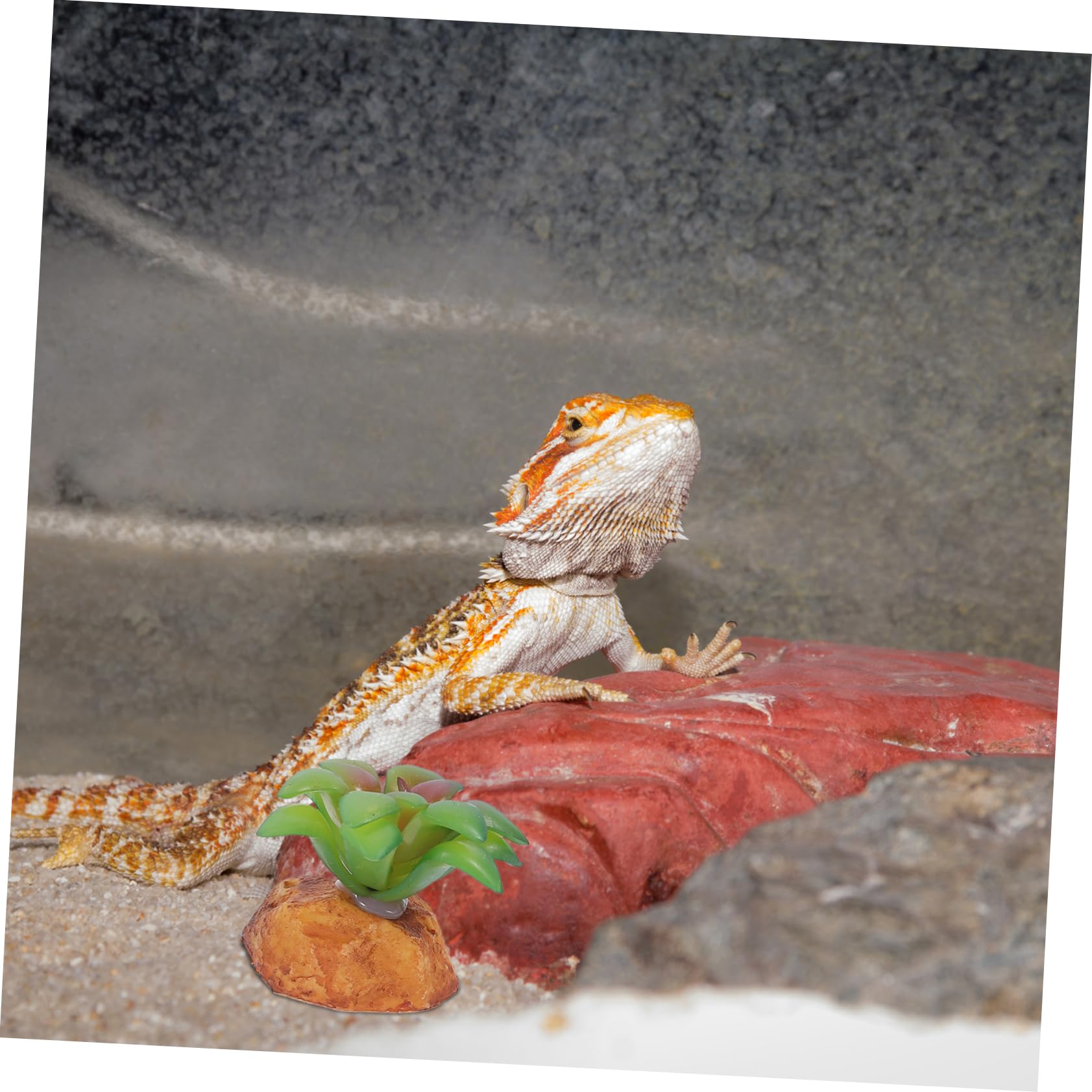 SUPVOX 2Pcs Lifelike Emulated Plants Adornment for Reptile Box Decor Safe Landscaping Plants for Enhancing Reptile Habitat with Natural Beauty