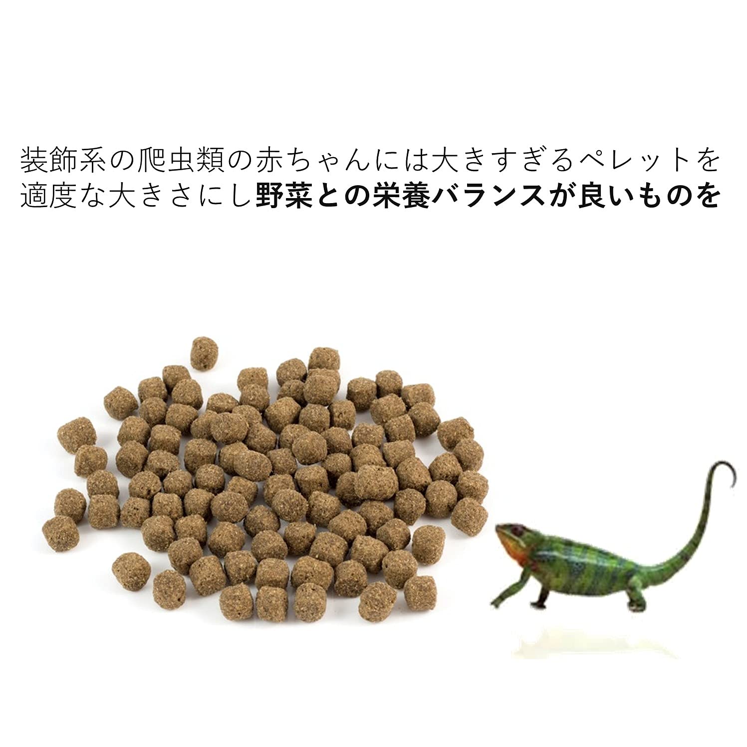 Amazon.co.jp: 草食系爬虫類 ペレットカッター （ 爬虫類 餌 カッター 