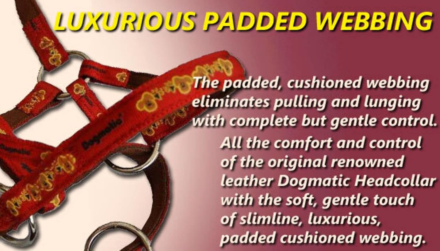 dogmatic headcollar amazon