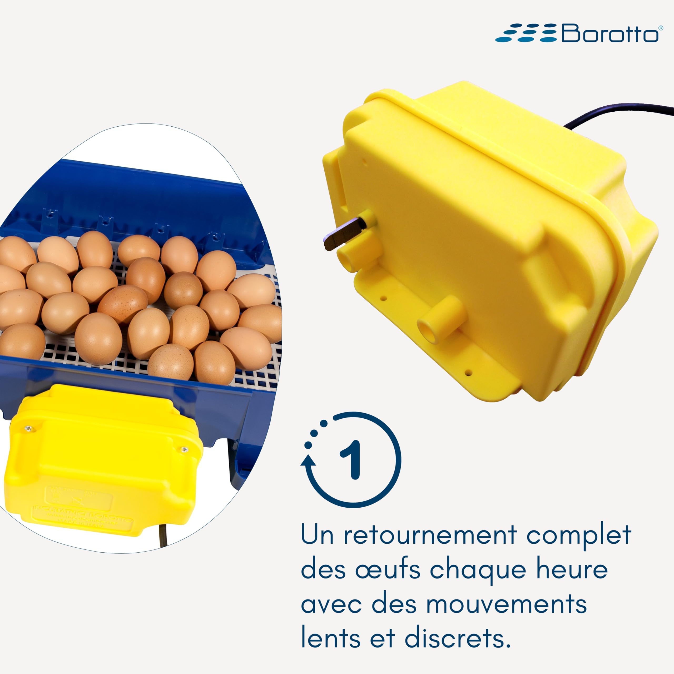 Borotto Tourne-Oeuf Real | Dispositif Breveté pour l'Inclinaison Automatique des Oeufs, Compatible avec l'Incubateur Borotto Real, Installation Facile et Rapide | Made in Italy