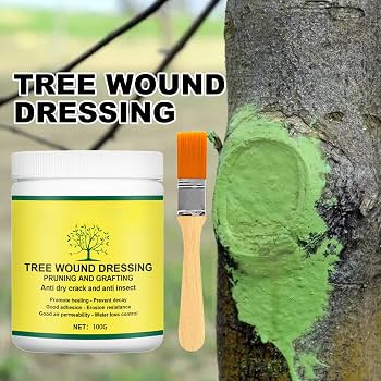 tree wound dressing 100g Sealer Tree Tree Pruning Sealer Plant Healing Putty Bonsai Cut Paste Grafting Wax with Brush Repair Paste for made solution is easy White and Beige Lace nosync Variant:C66