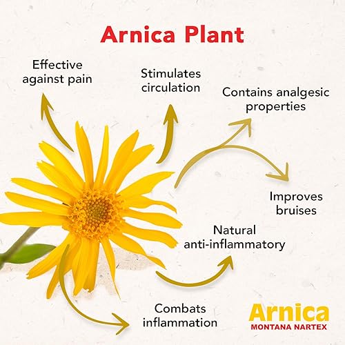 Miniatura 6 de Nartex Arnica Montana - Tubo de ungüento, 1.05 onzas