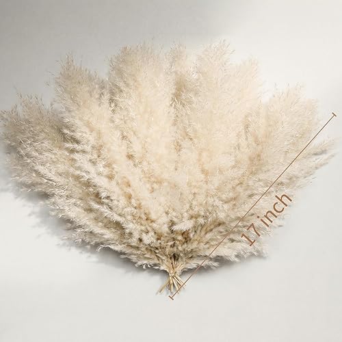 Miniatura 3 de 10 tallos de hierba de las pampas beige, hierba de pompas seca natural, colas de conejo, flores secas esponjosas a granel para bodas, fiestas, casa