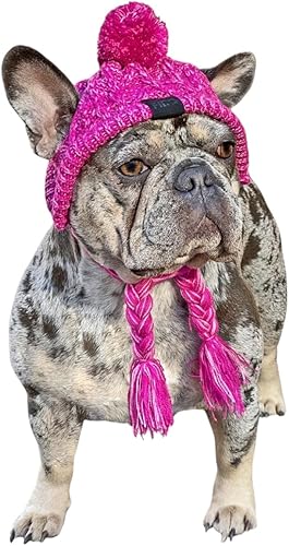 Fabulous Fido Gorro de punto para perro  Sombrero de invierno para perro con agujeros para las orejas  Gorro de punto con pompones para perro con