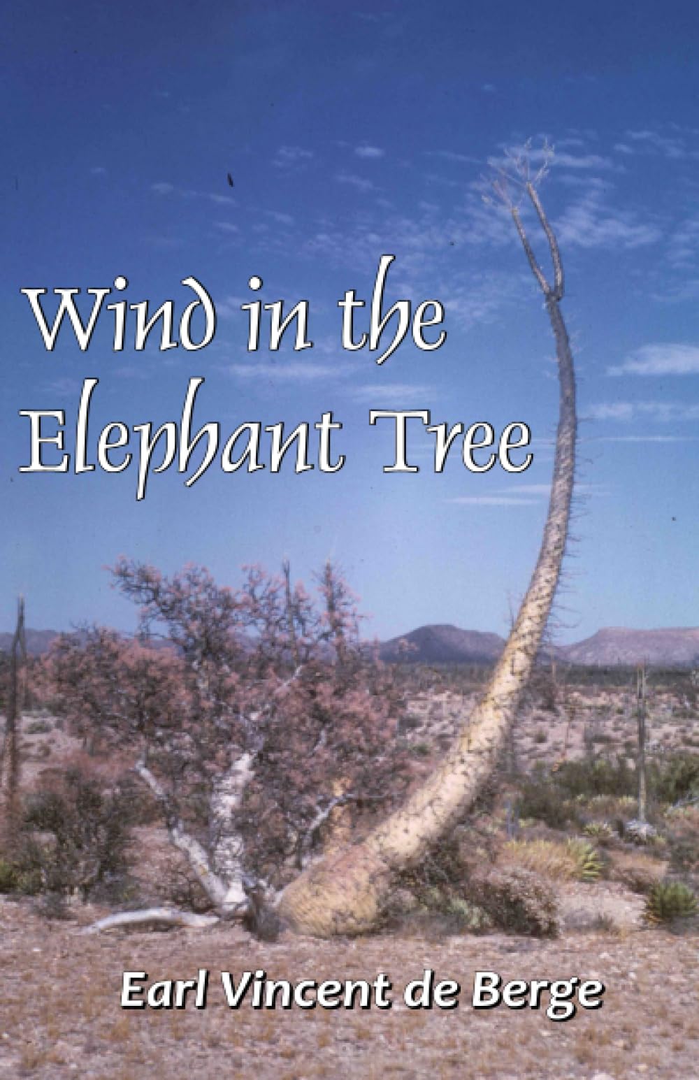 Wind in the Elephant Tree