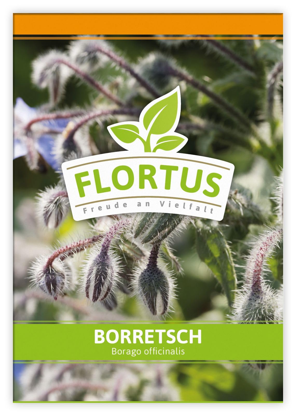 FLORTUS 2000-0452-100x Borretsch (100 Tütchen) (Borretschsamen)