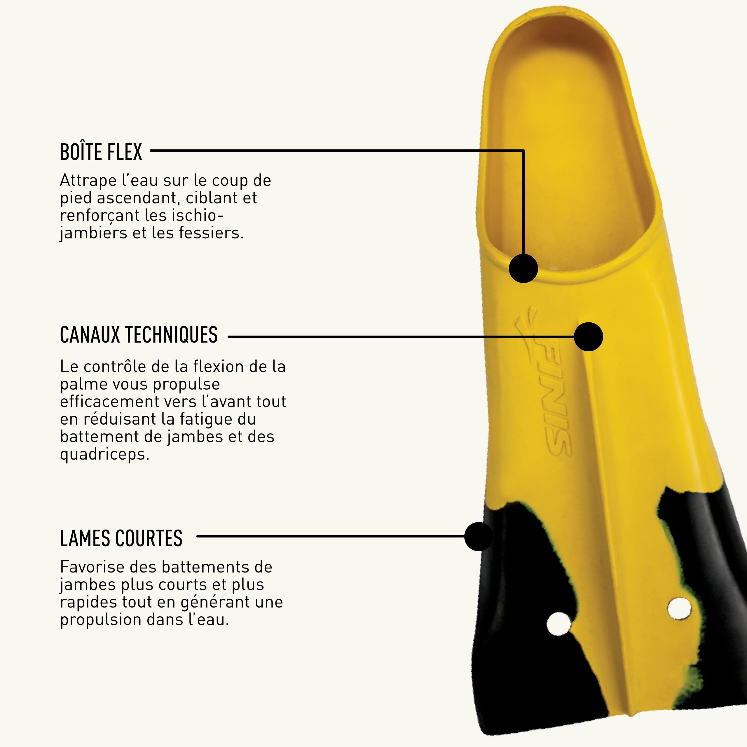 Finis Z2 Palmes adulte