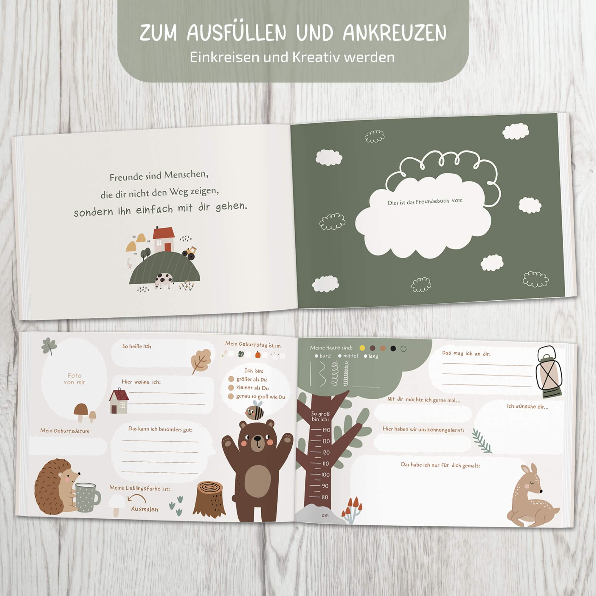 Libro Ricordi Asilo Libro Degli Amici BIROYAL Per Bambini - Con Unicorno E Pagine Da Colorare Libro Amicizia Asilo Scuola