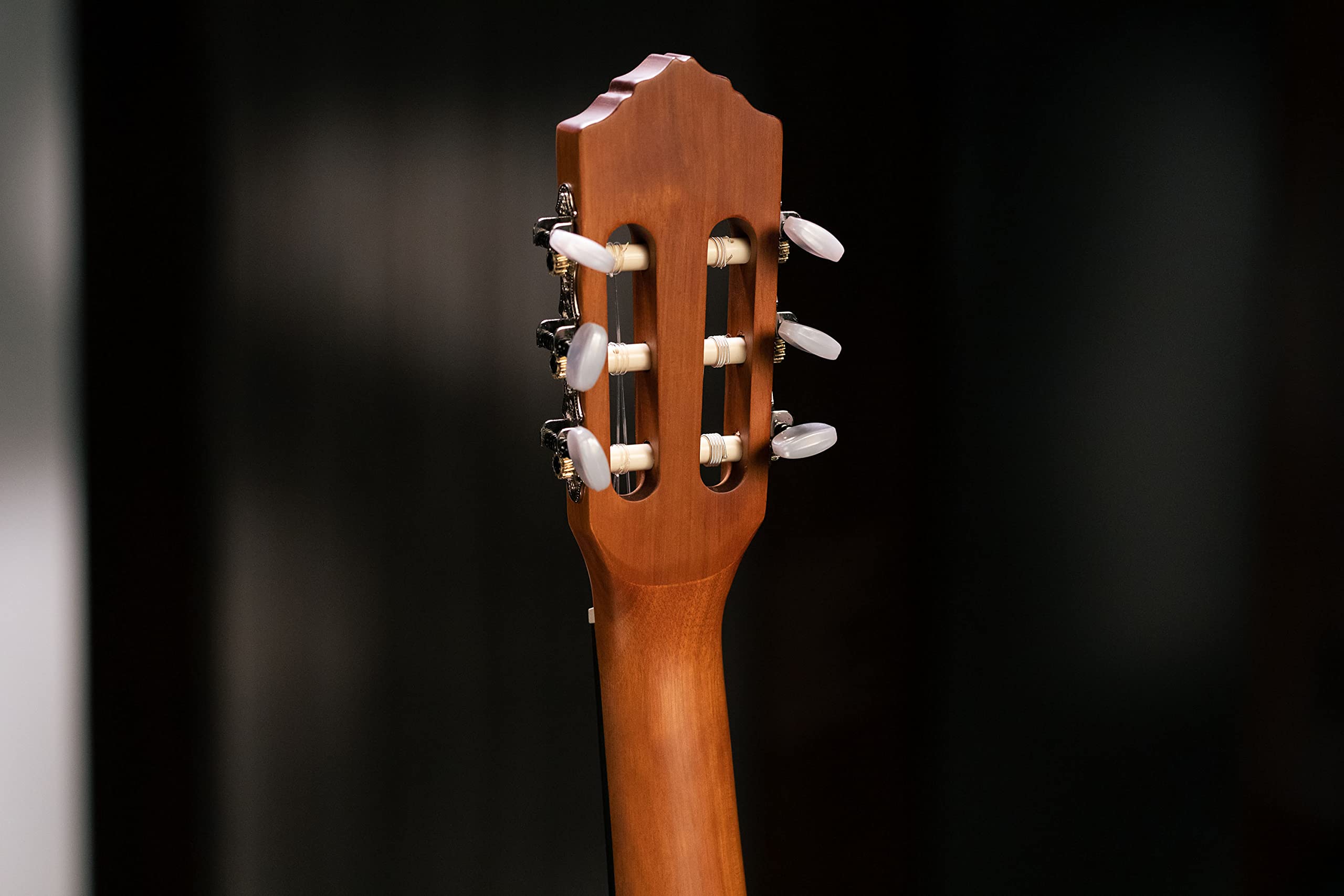 Ortega Guitars Chitarra Concerto Misura 7/8 - Serie Family - include Gig Bag - top in mogano/abete (R121-7/8)
